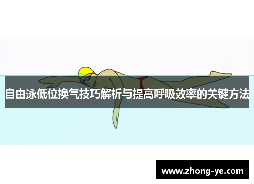 自由泳低位换气技巧解析与提高呼吸效率的关键方法