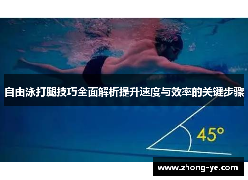 自由泳打腿技巧全面解析提升速度与效率的关键步骤